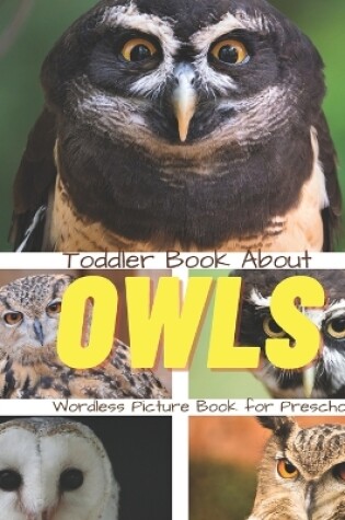 Cover of Toddler Book About Owls