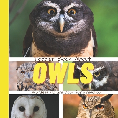 Book cover for Toddler Book About Owls