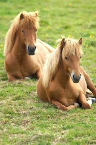 Cover of Resting Icelandic Ponies, for the Love of Horses