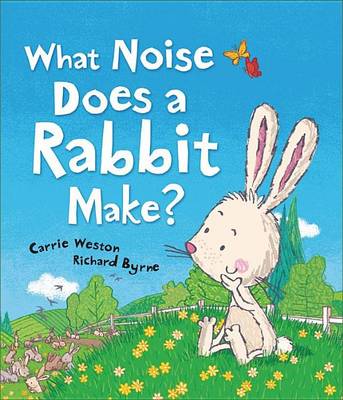 Book cover for What Noise Does a Rabbit Make?
