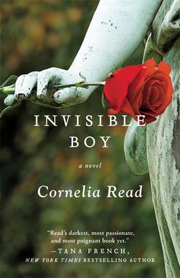 Book cover for Invisible Boy