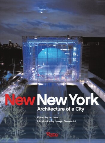 Book cover for New New York