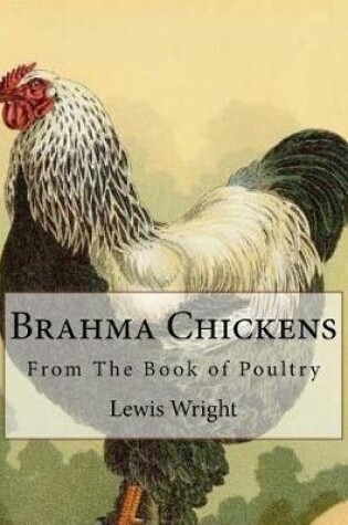 Cover of Brahma Chickens