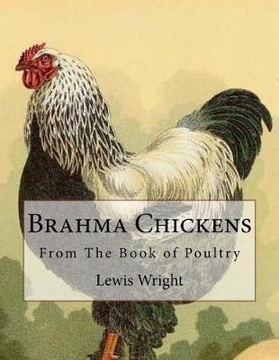 Book cover for Brahma Chickens