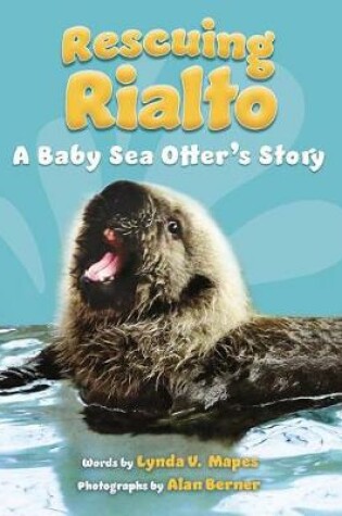 Cover of Rescuing Rialto: A Baby Sea Otter's Story