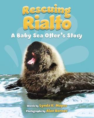 Book cover for Rescuing Rialto: A Baby Sea Otter's Story