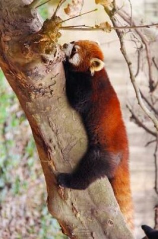 Cover of Loveable Red Panda Stretched Out in a Tree Journal