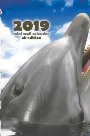 Cover of Dolphins 2019 Mini Wall Calendar (UK Edition)