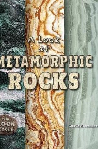 Cover of A Look at Metamorphic Rocks