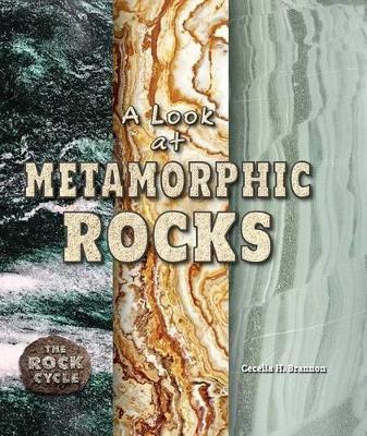 Cover of A Look at Metamorphic Rocks