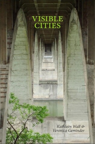 Cover of Visible Cities