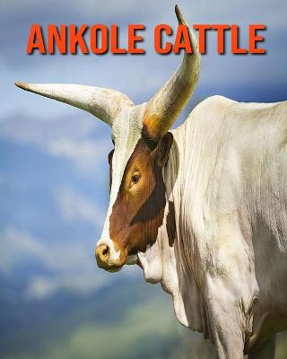 Book cover for Ankole Cattle