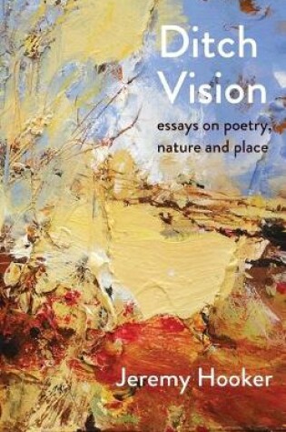 Cover of Ditch Vision