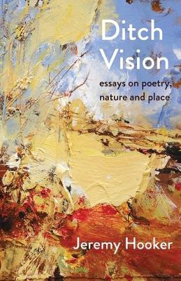 Book cover for Ditch Vision
