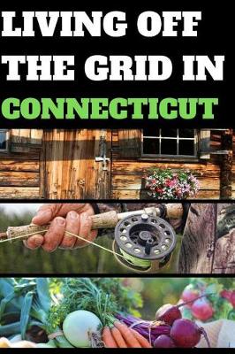 Book cover for Living Off the Grid in Connecticut