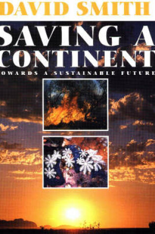 Cover of Saving a Continent