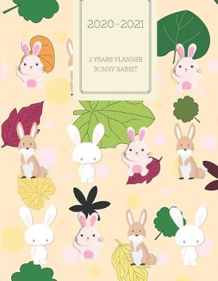 Book cover for 2020-2021 2 Year Planner Bunny Rabbit Monthly Calendar Goals Agenda Schedule Organizer