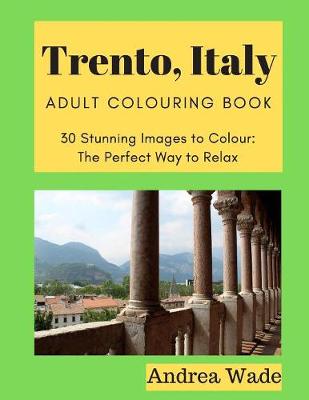 Book cover for Trento, Italy Adult Colouring Book