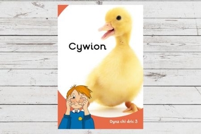 Book cover for Dyna Chi Dric: Cywion