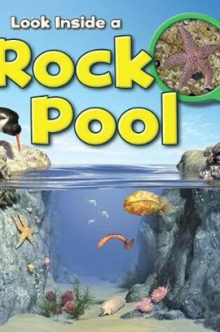 Cover of Rock Pool