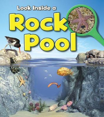 Book cover for Rock Pool