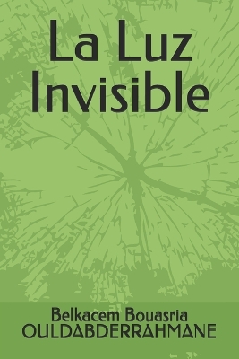 Book cover for La Luz Invisible