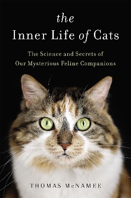Book cover for The Inner Life of Cats