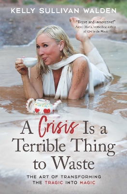 Book cover for A Crisis is a Terrible Thing to Waste