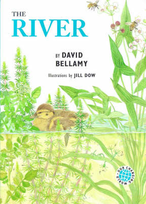 Cover of The River