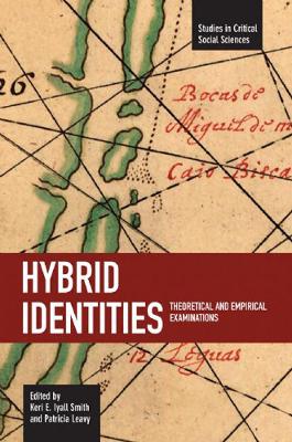 Cover of Hybrid Identities: Theoretical And Empirical Examinations