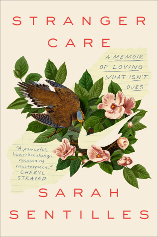 Book cover for Stranger Care