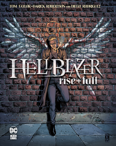 Book cover for Hellblazer: Rise and Fall