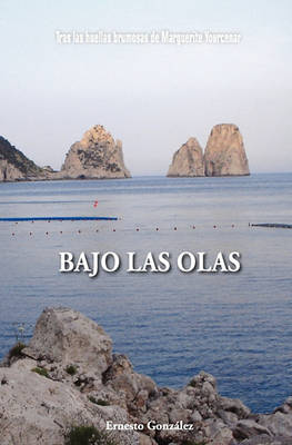 Book cover for Bajo las Olas
