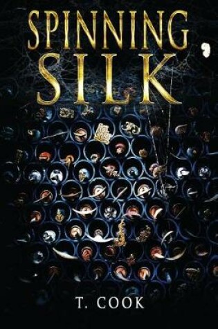 Cover of Spinning Silk