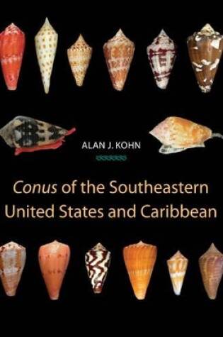 Cover of Conus of the Southeastern United States and Caribbean