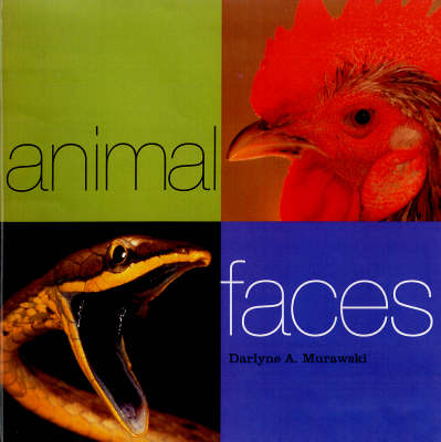 Book cover for Animal Faces