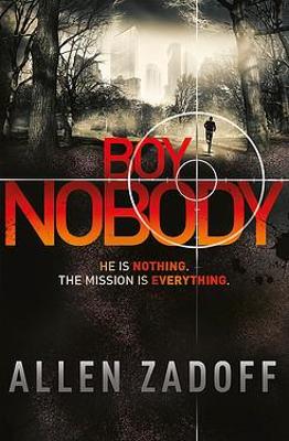 Book cover for Boy Nobody