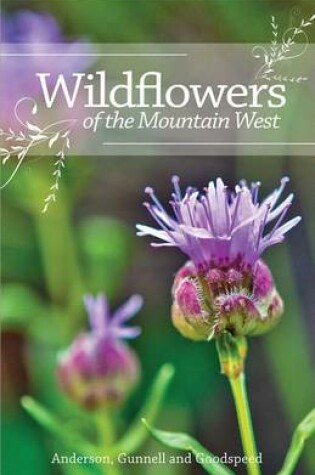 Cover of Wildflowers of the Mountain West
