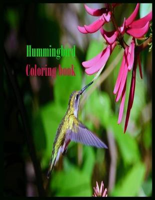 Book cover for Hummingbird Coloring Book