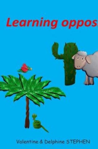 Cover of Learning opposites