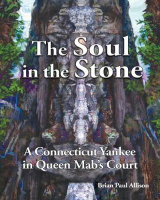 Book cover for The Soul in the Stone