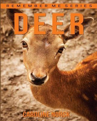 Book cover for Deer