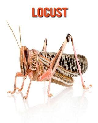 Book cover for Locust