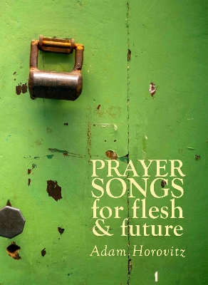 Book cover for Prayer Songs for Flesh and Future