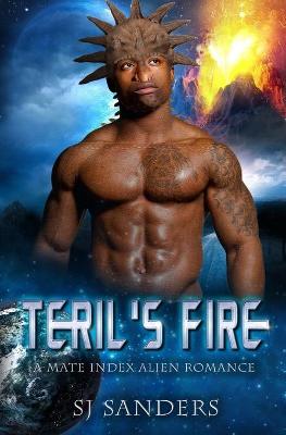 Book cover for Teril's Fire