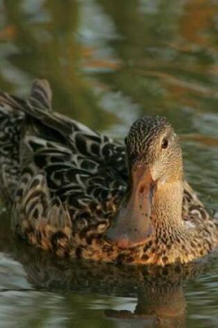 Cover of Northern Shoveler Duck (Anas Clypeata) Journal