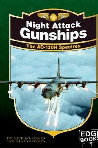 Cover of Night Attack Gunships
