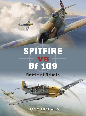 Book cover for Spitfire vs Bf 109