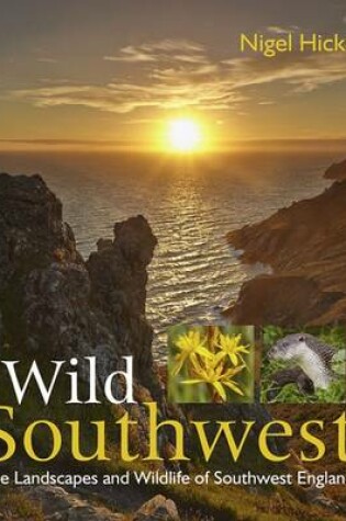 Cover of Wild Southwest