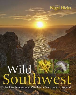 Book cover for Wild Southwest